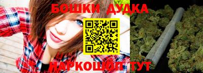 гидра Рузаевка