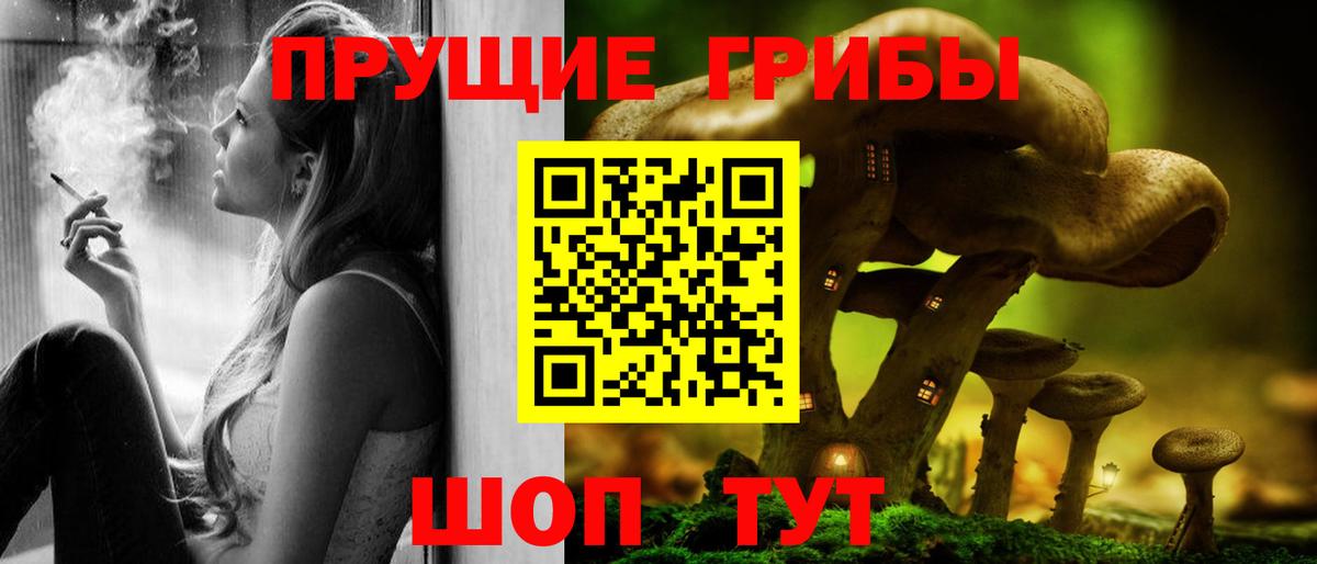 Галлюциногенные грибы Cubensis  Вход с VPN  Псилоцибиновые грибы прущие грибы  Отрадное 